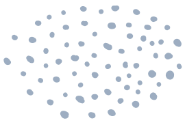 Shape
